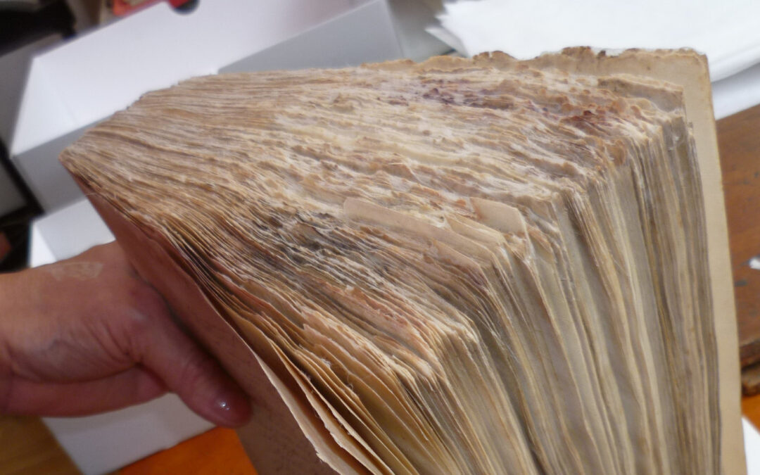 Papier für die Ewigkeit | Radiowissen